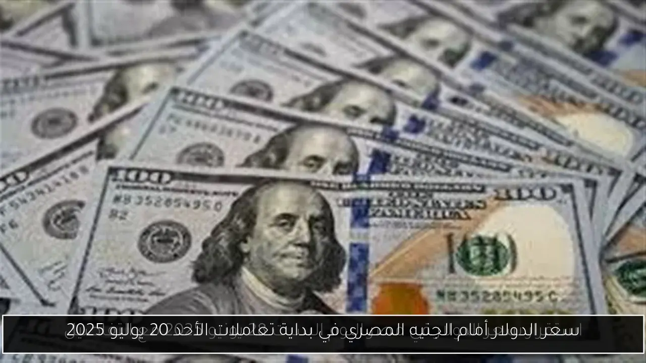 سعر الدولار أمام الجنيه المصري في بداية تعاملات الأحد 20 يوليو 2025