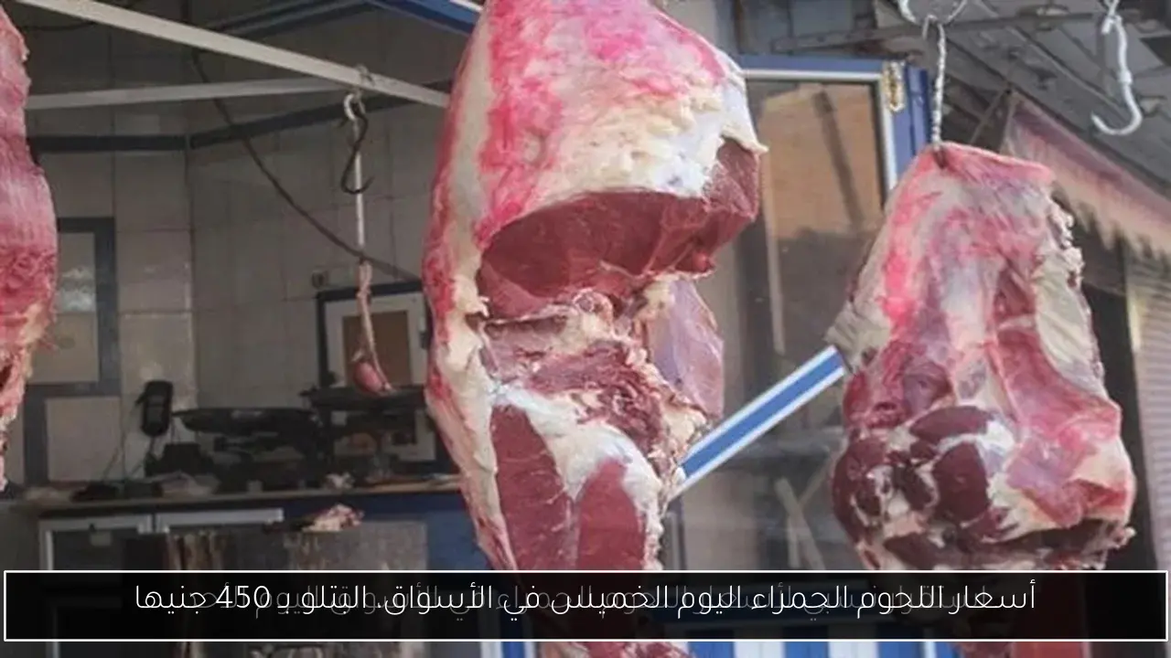 أسعار اللحوم الحمراء اليوم الخميس في الأسواق، البتلو بـ 450 جنيها