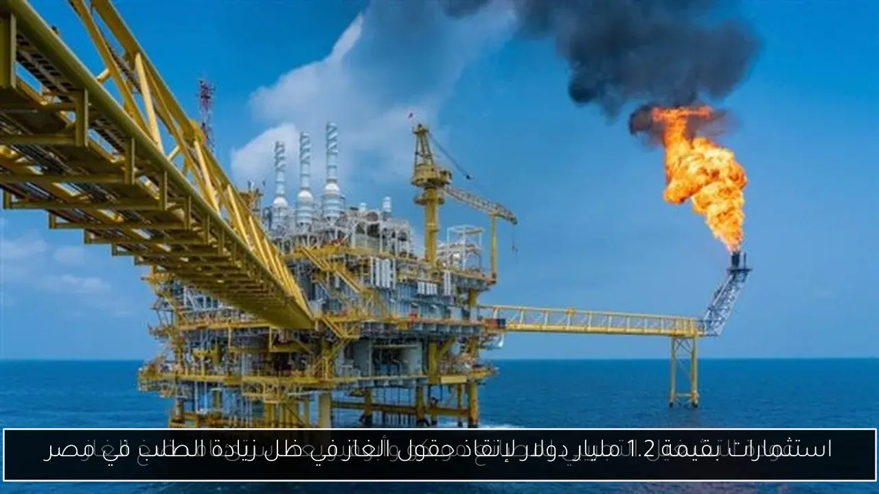 استثمارات بقيمة 1.2 مليار دولار لإنقاذ حقول الغاز في ظل زيادة الطلب في مصر
