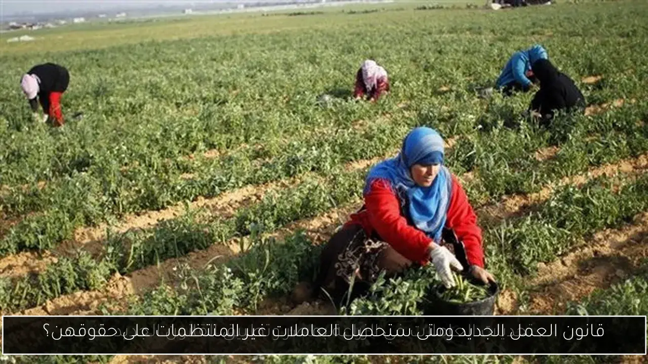 قانون العمل الجديد ومتى ستحصل العاملات غير المنتظمات على حقوقهن؟