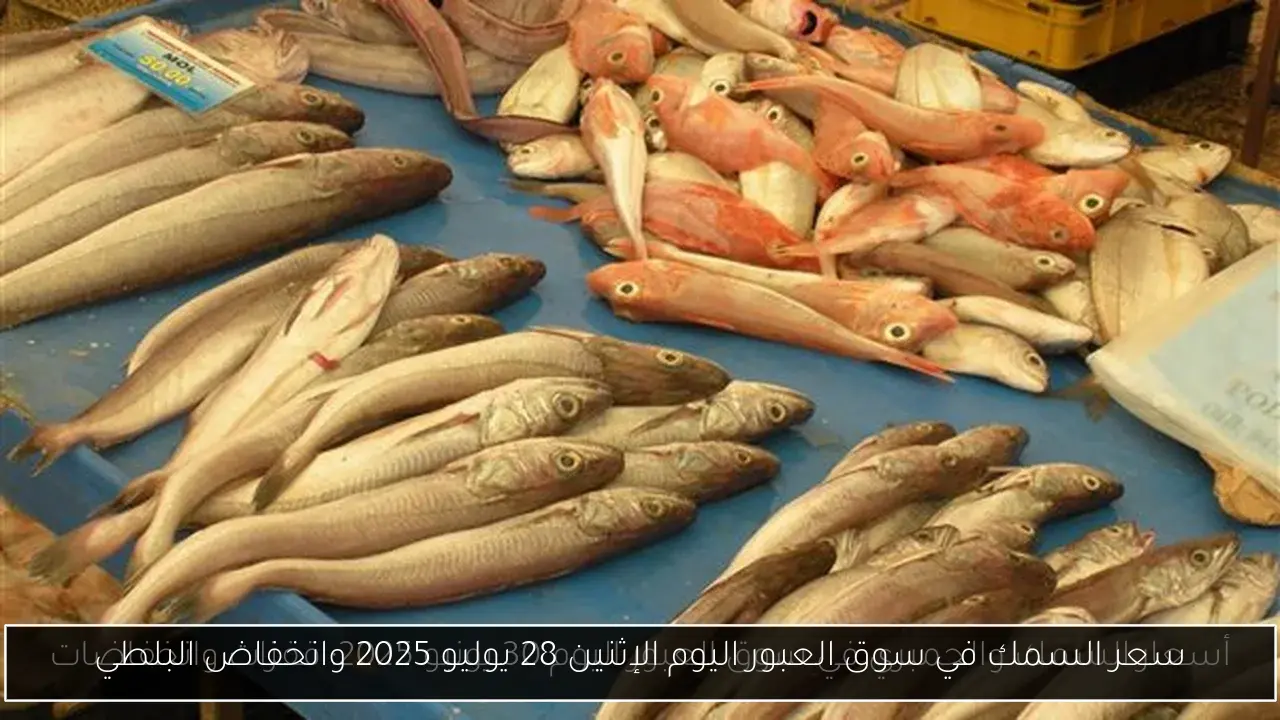 سعر السمك في سوق العبور اليوم الإثنين 28 يوليو 2025 وانخفاض البلطي