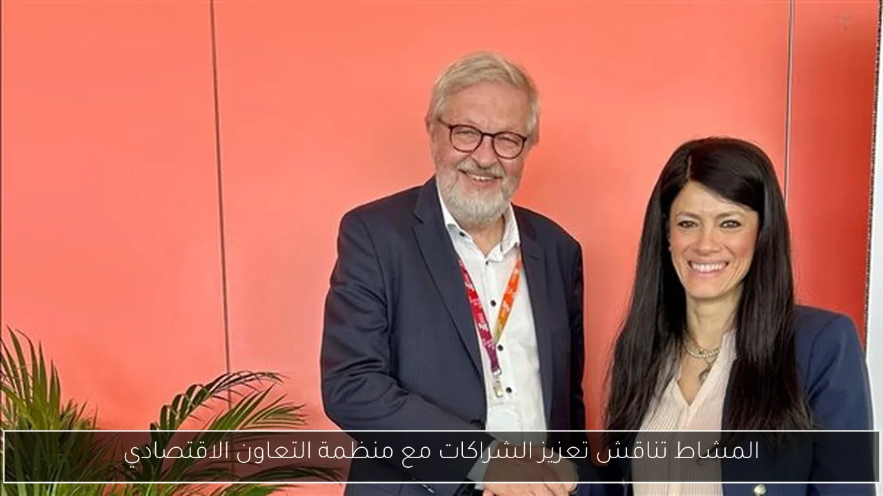 المشاط تناقش تعزيز الشراكات مع منظمة التعاون الاقتصادي