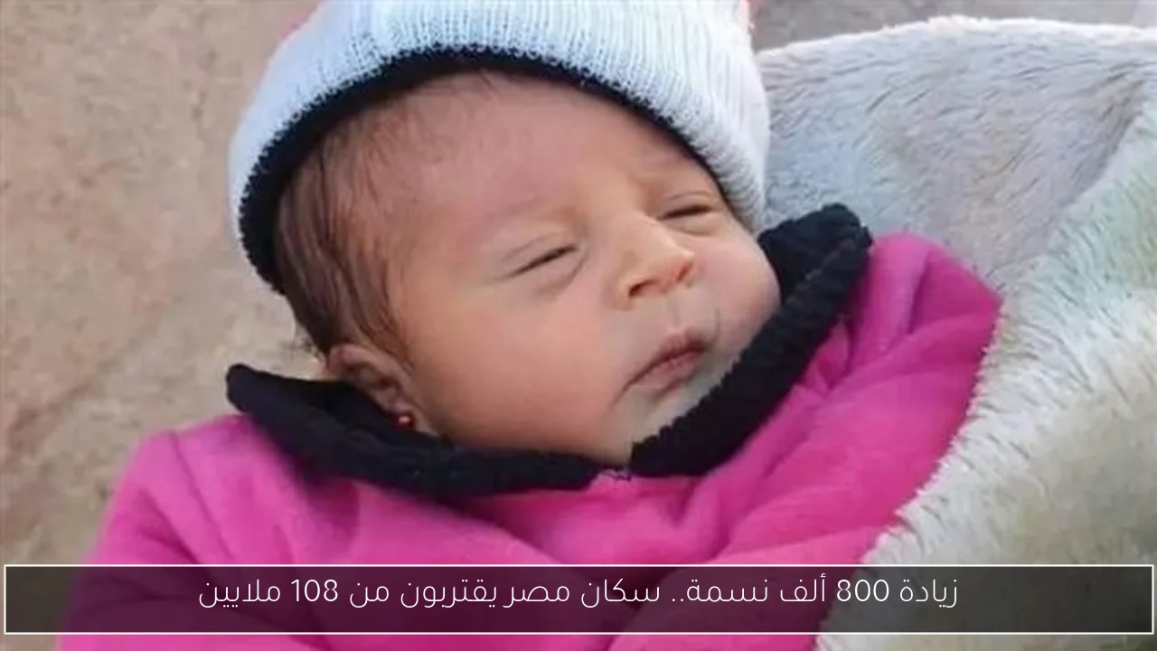 زيادة 800 ألف نسمة.. سكان مصر يقتربون من 108 ملايين