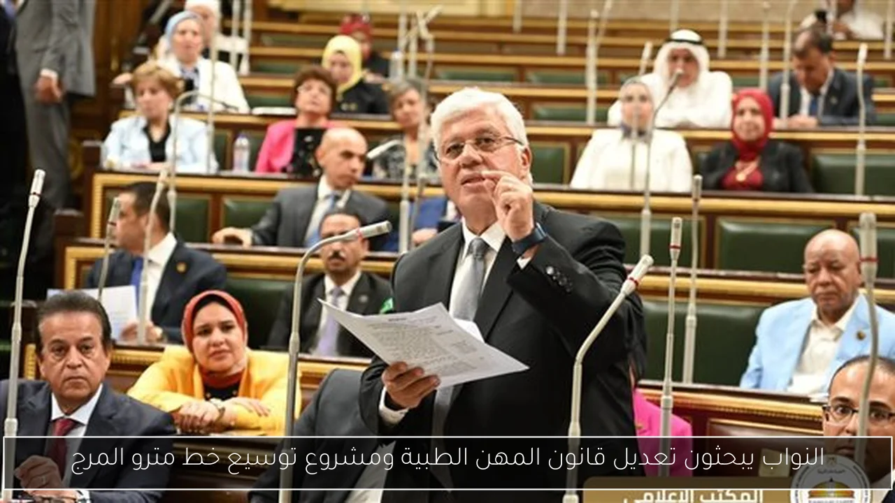 النواب يبحثون تعديل قانون المهن الطبية ومشروع توسيع خط مترو المرج