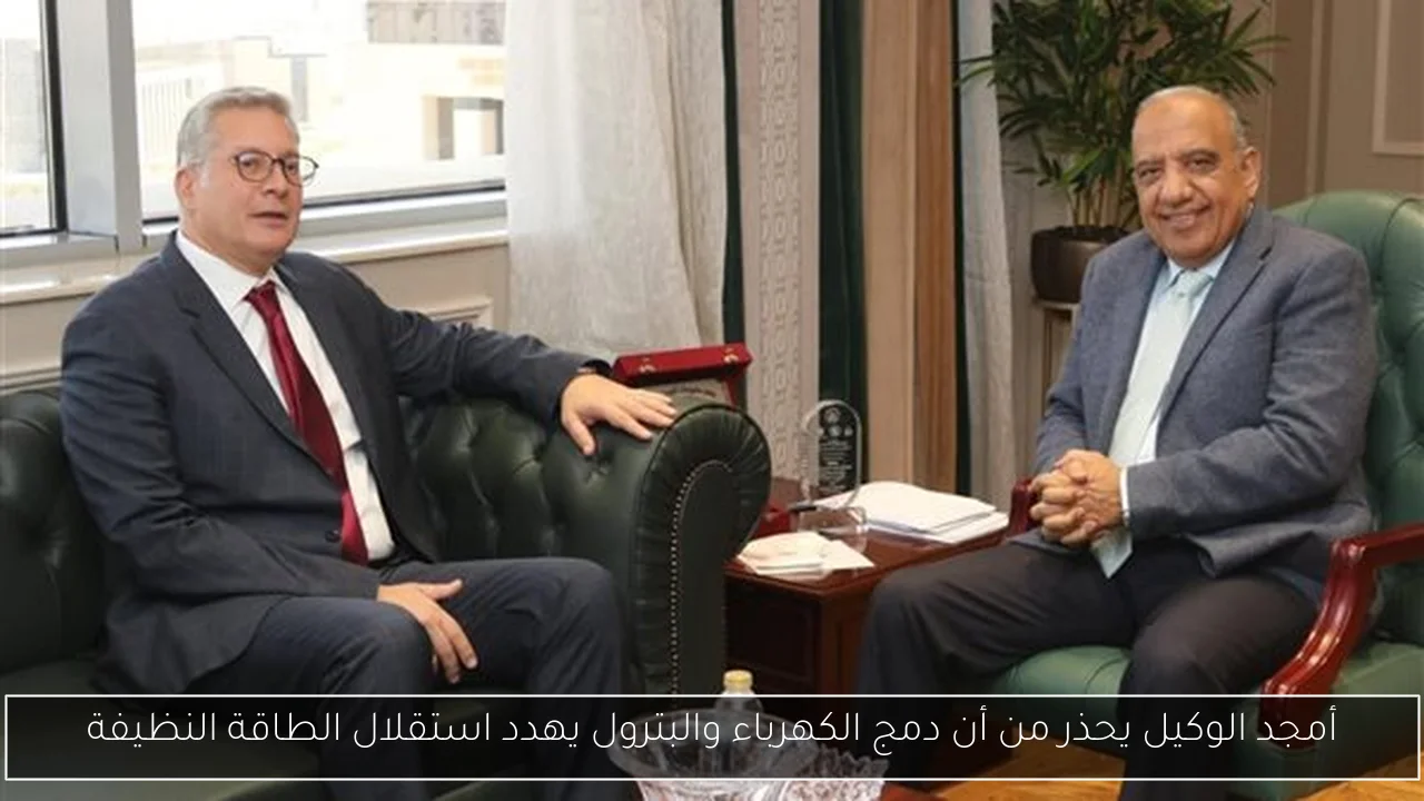 أمجد الوكيل يحذر من أن دمج الكهرباء والبترول يهدد استقلال الطاقة النظيفة