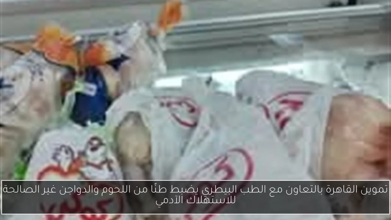 تموين القاهرة بالتعاون مع الطب البيطري يضبط طنًا من اللحوم والدواجن غير الصالحة للاستهلاك الآدمي