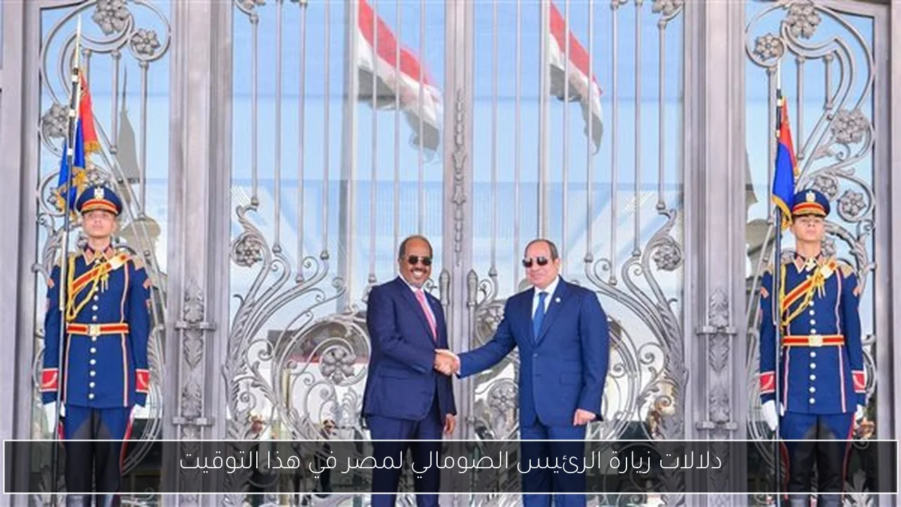 دلالات زيارة الرئيس الصومالي لمصر في هذا التوقيت