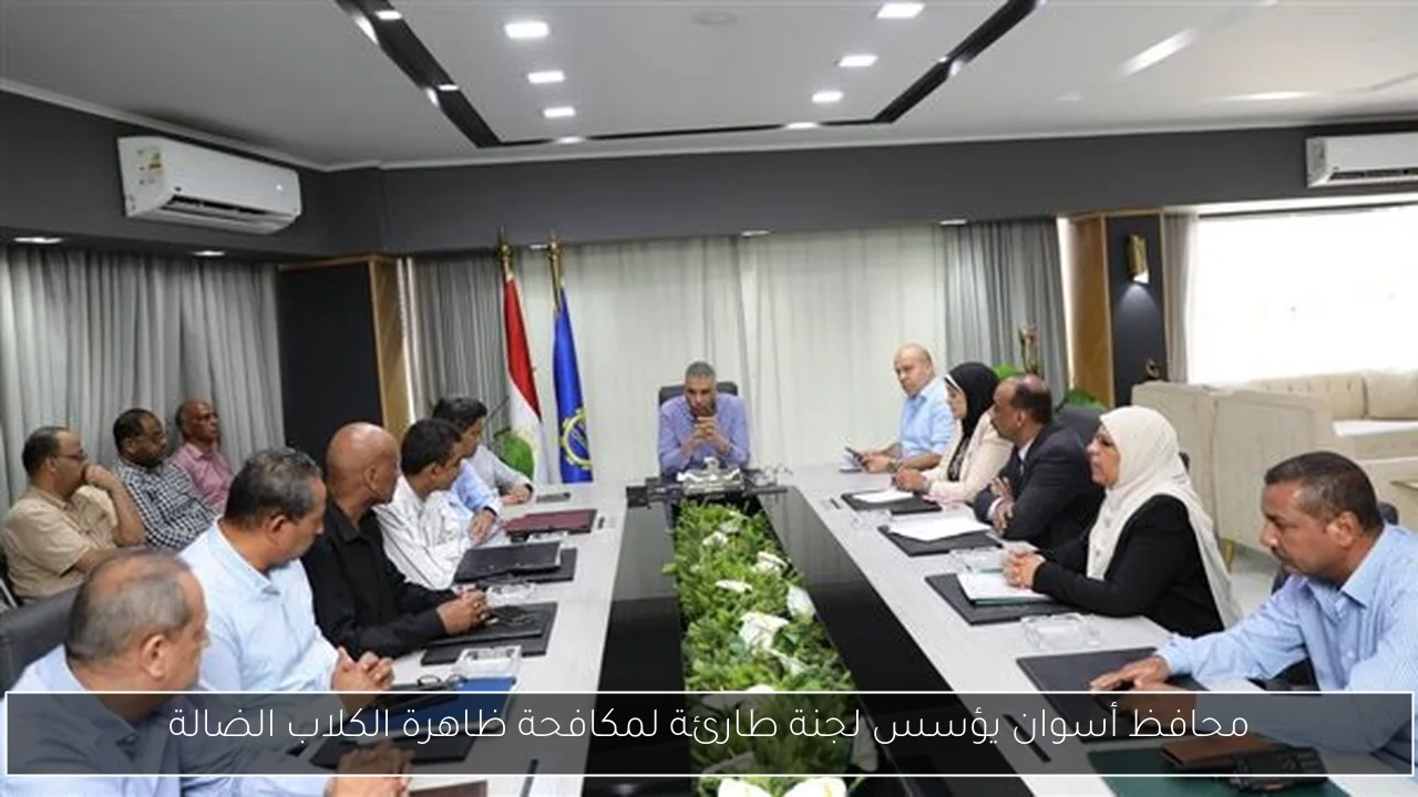 محافظ أسوان يؤسس لجنة طارئة لمكافحة ظاهرة الكلاب الضالة