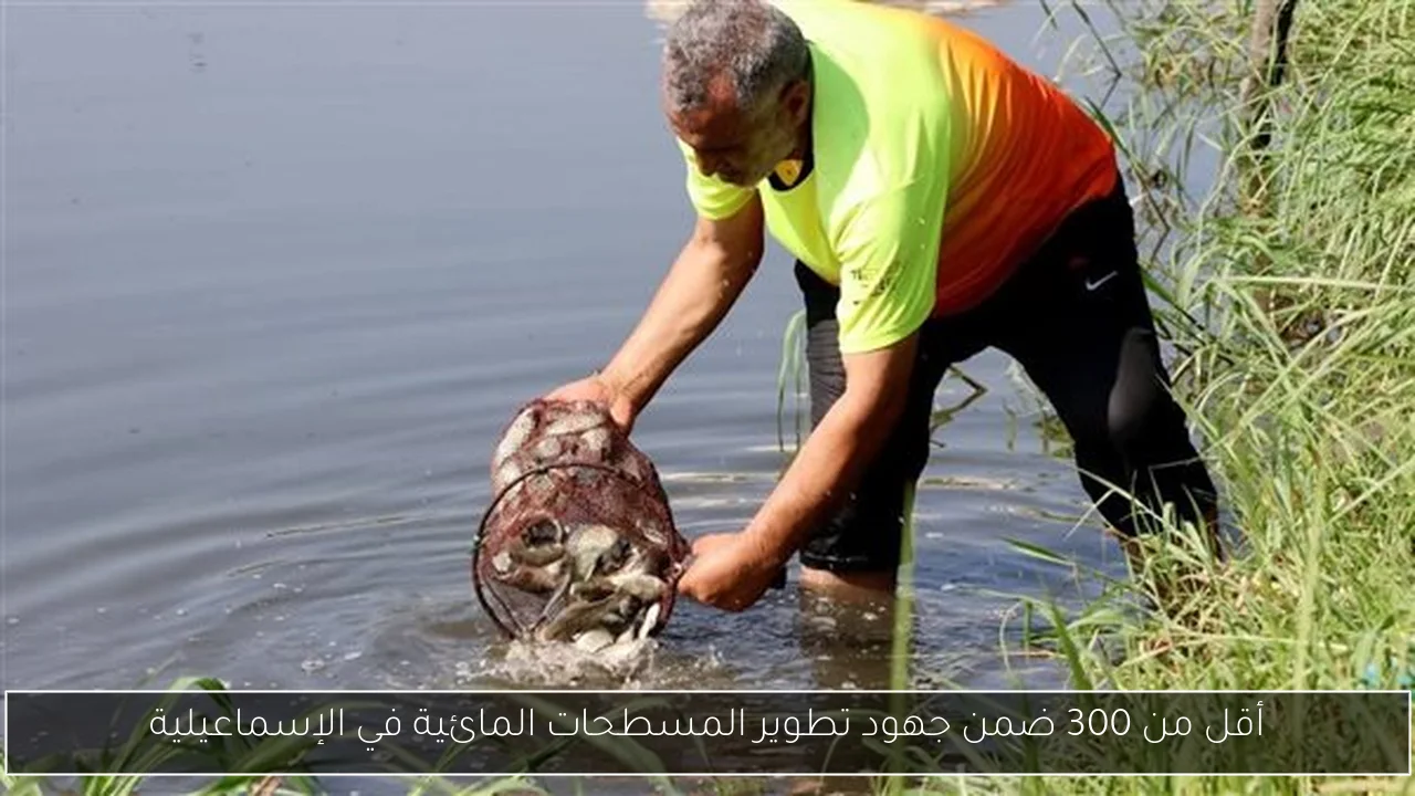 أقل من 300 ضمن جهود تطوير المسطحات المائية في الإسماعيلية