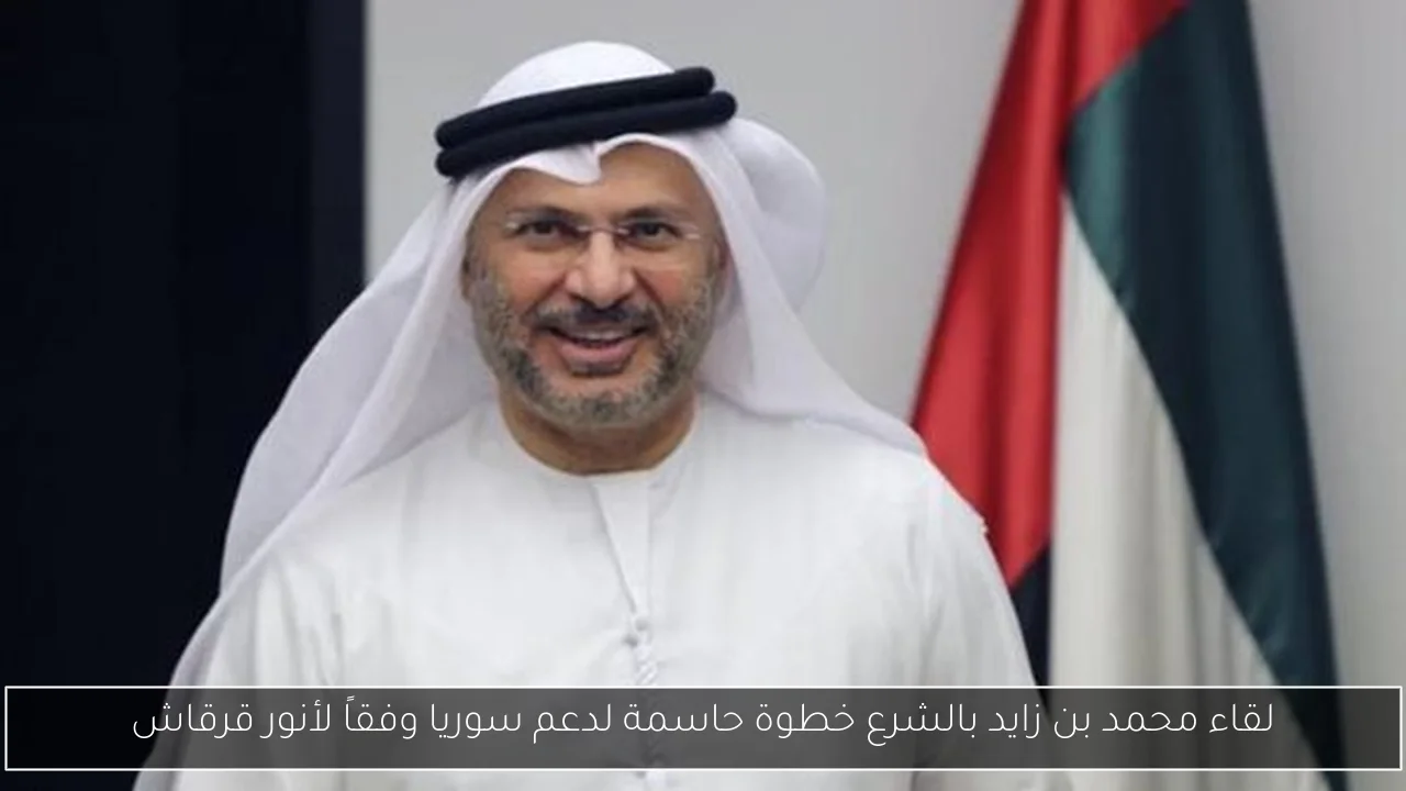لقاء محمد بن زايد بالشرع خطوة حاسمة لدعم سوريا وفقاً لأنور قرقاش