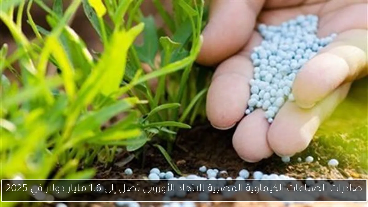 صادرات الصناعات الكيماوية المصرية للاتحاد الأوروبي تصل إلى 1.6 مليار دولار في 2025