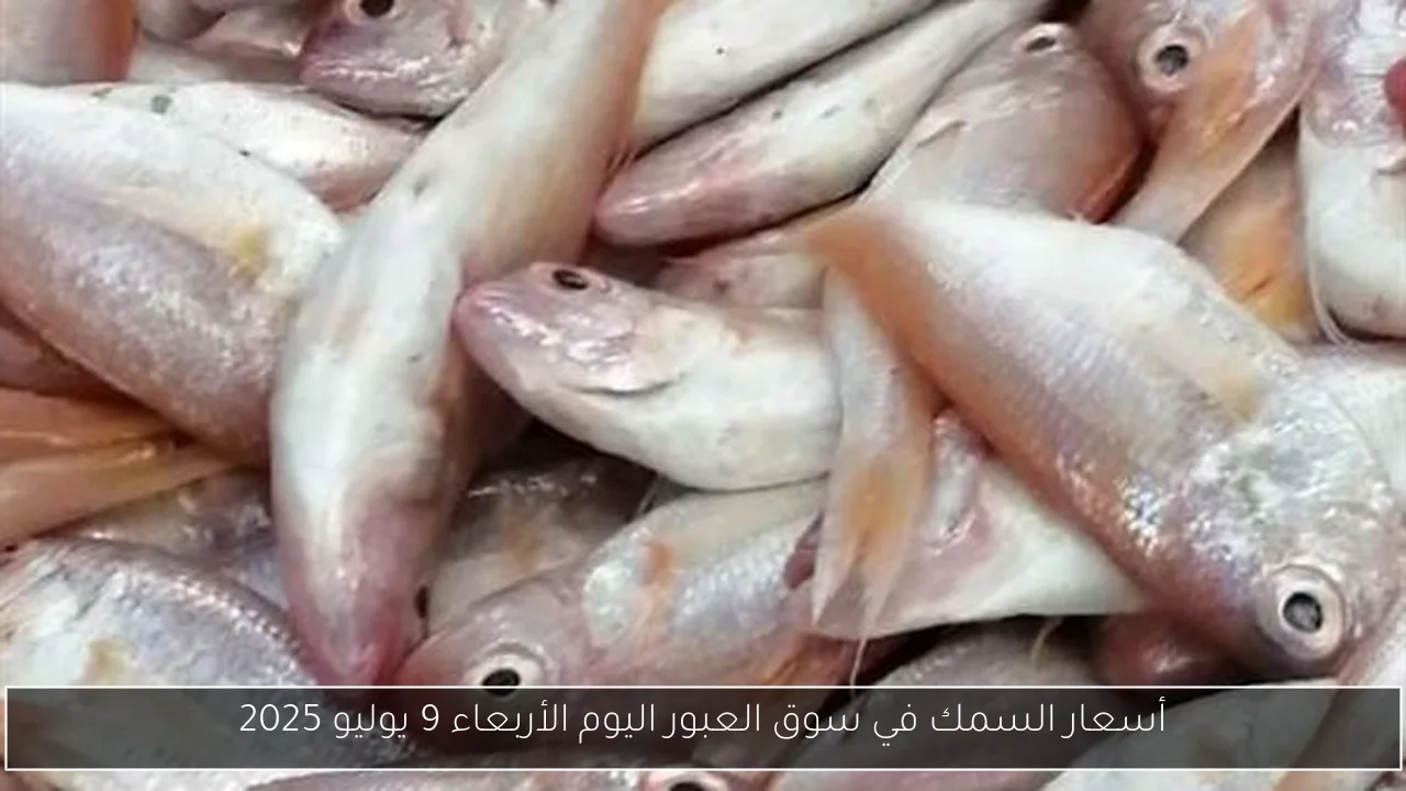 أسعار السمك في سوق العبور اليوم الأربعاء 9 يوليو 2025