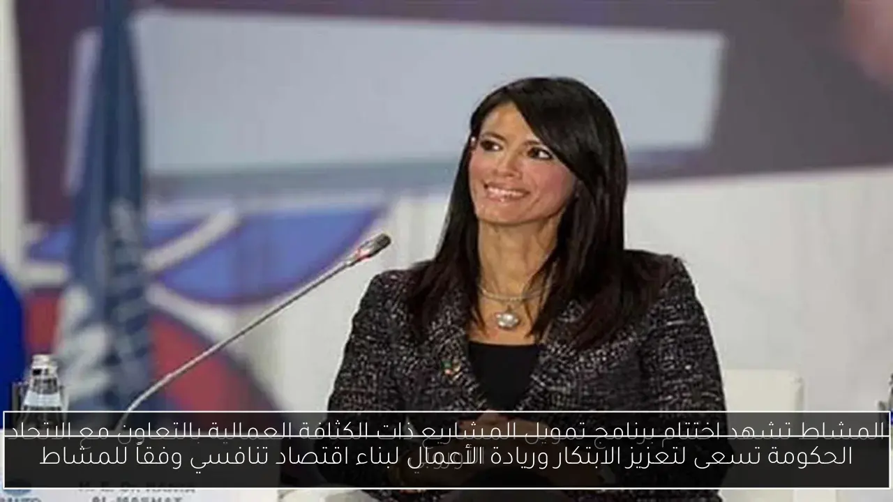 الحكومة تسعى لتعزيز الابتكار وريادة الأعمال لبناء اقتصاد تنافسي وفقاً للمشاط