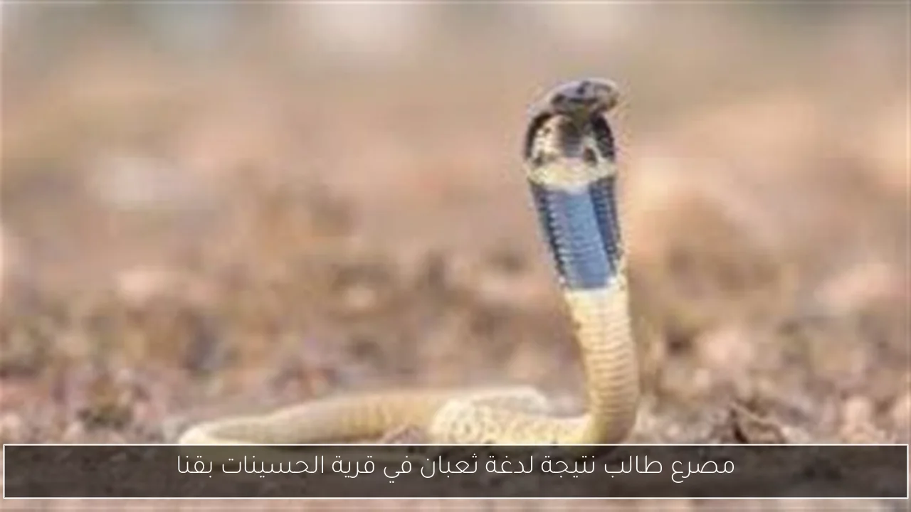 مصرع طالب نتيجة لدغة ثعبان في قرية الحسينات بقنا