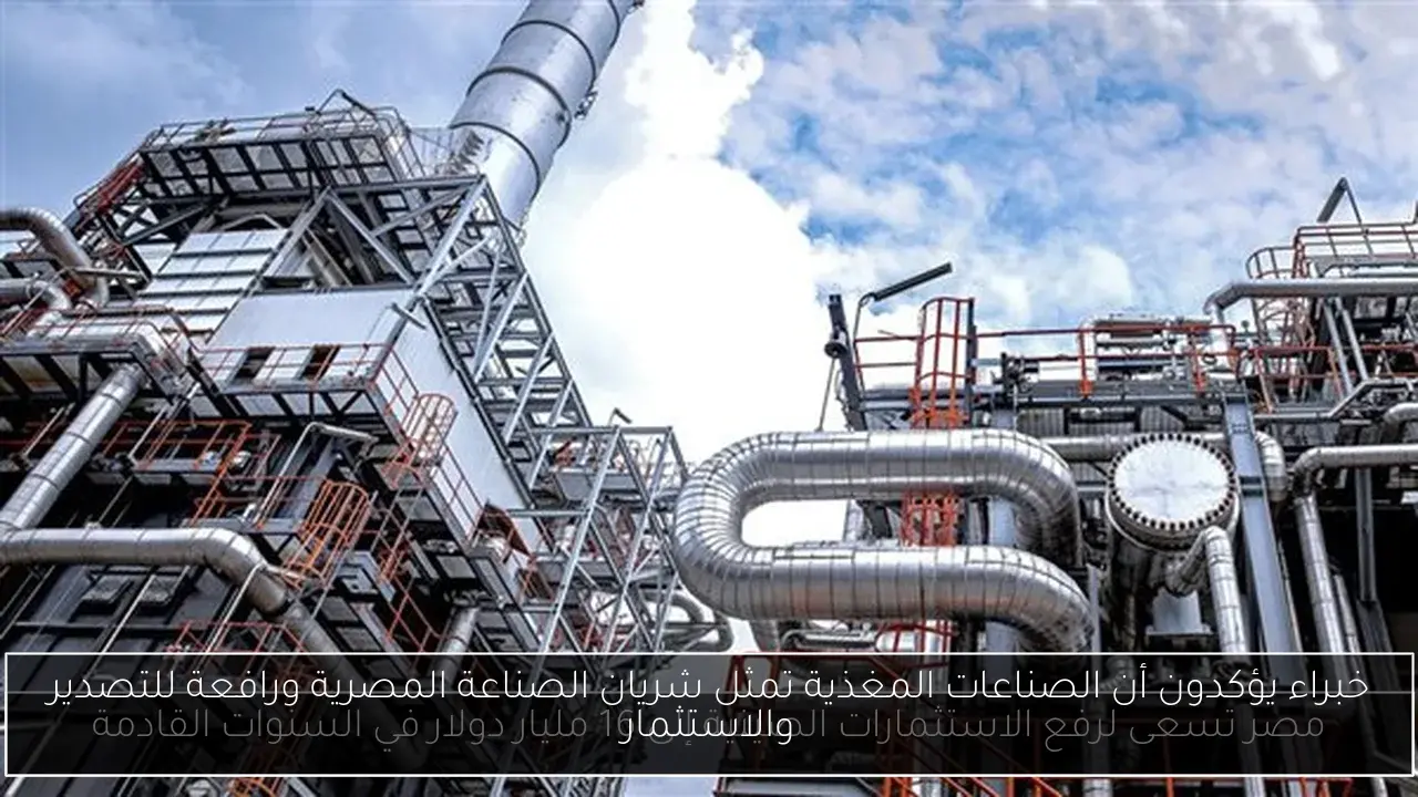 خبراء يؤكدون أن الصناعات المغذية تمثل شريان الصناعة المصرية ورافعة للتصدير والاستثمار