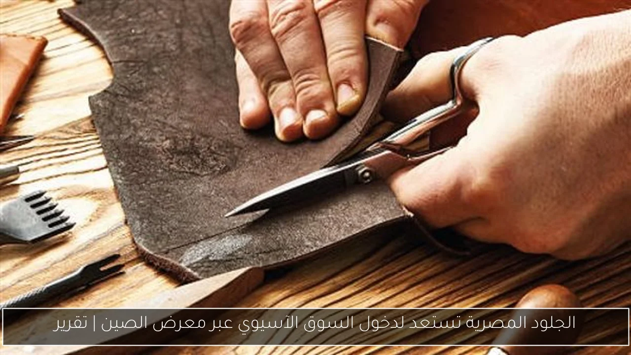 الجلود المصرية تستعد لدخول السوق الآسيوي عبر معرض الصين | تقرير