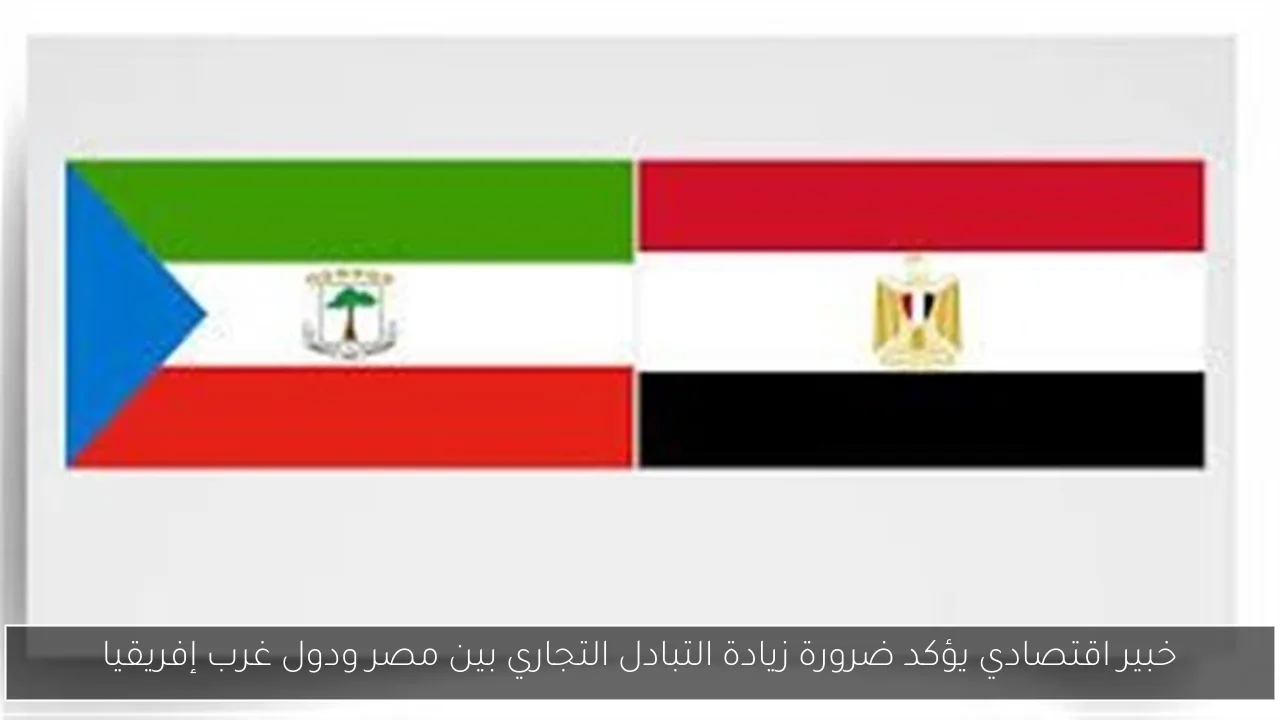 خبير اقتصادي يؤكد ضرورة زيادة التبادل التجاري بين مصر ودول غرب إفريقيا