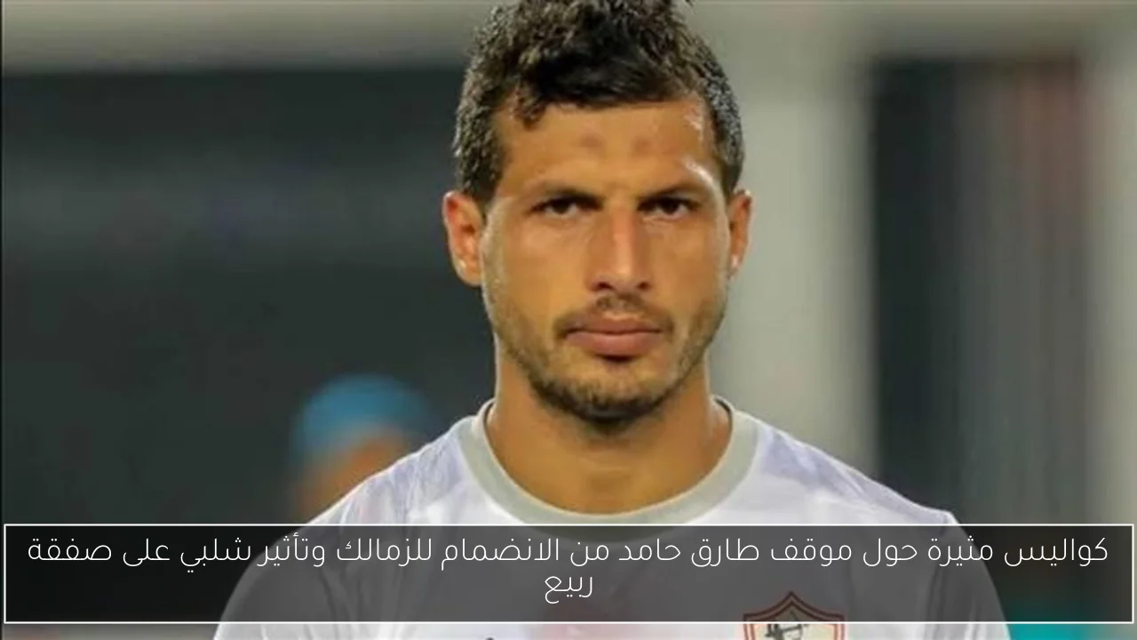 كواليس مثيرة حول موقف طارق حامد من الانضمام للزمالك وتأثير شلبي على صفقة ربيع