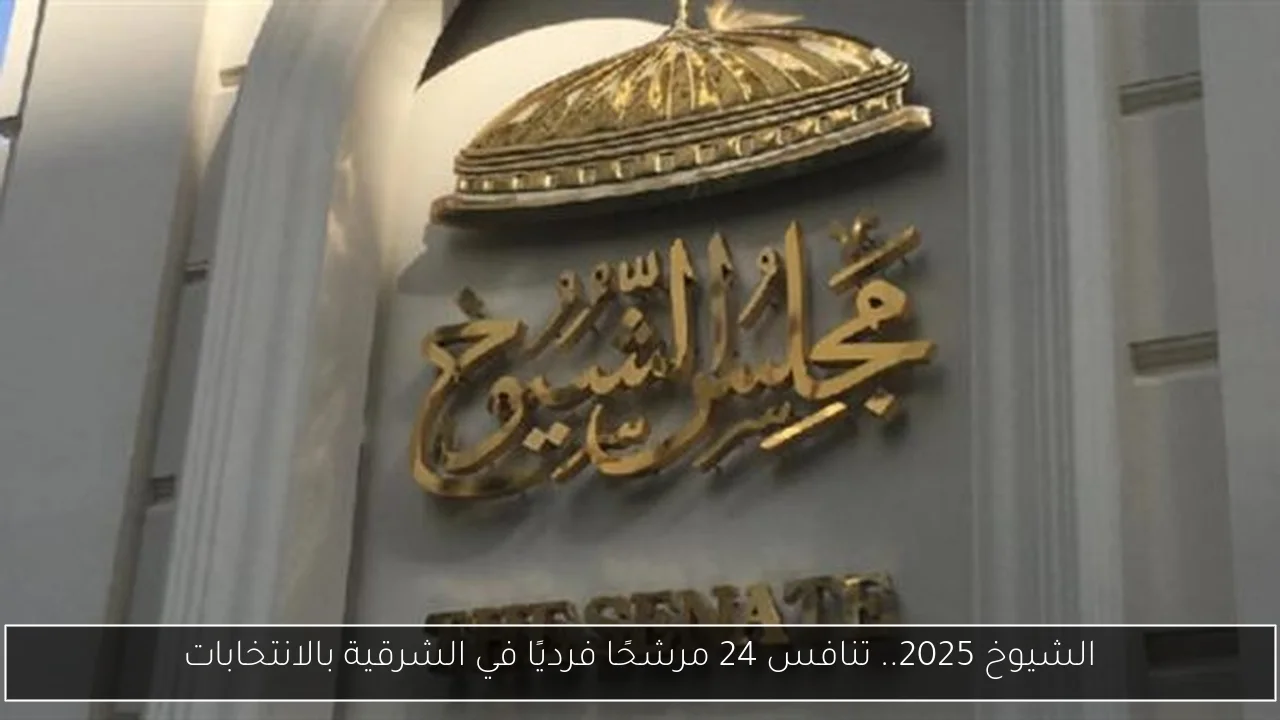 الشيوخ 2025.. تنافس 24 مرشحًا فرديًا في الشرقية بالانتخابات