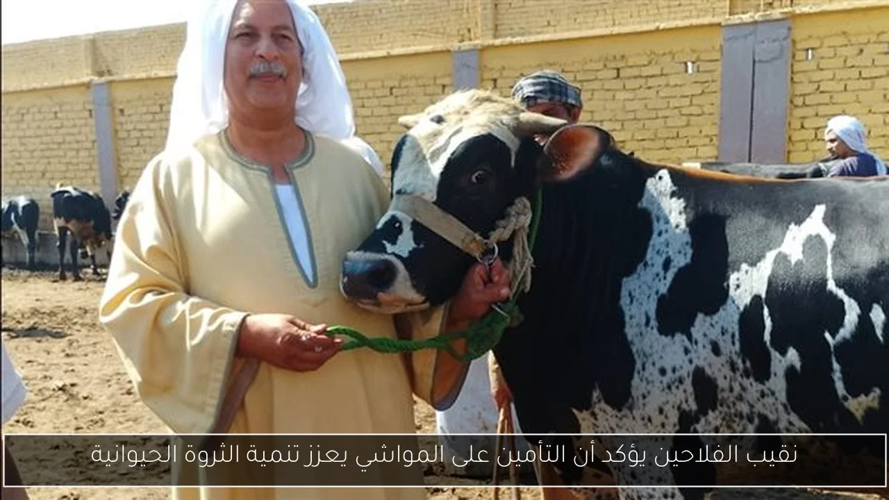 نقيب الفلاحين يؤكد أن التأمين على المواشي يعزز تنمية الثروة الحيوانية