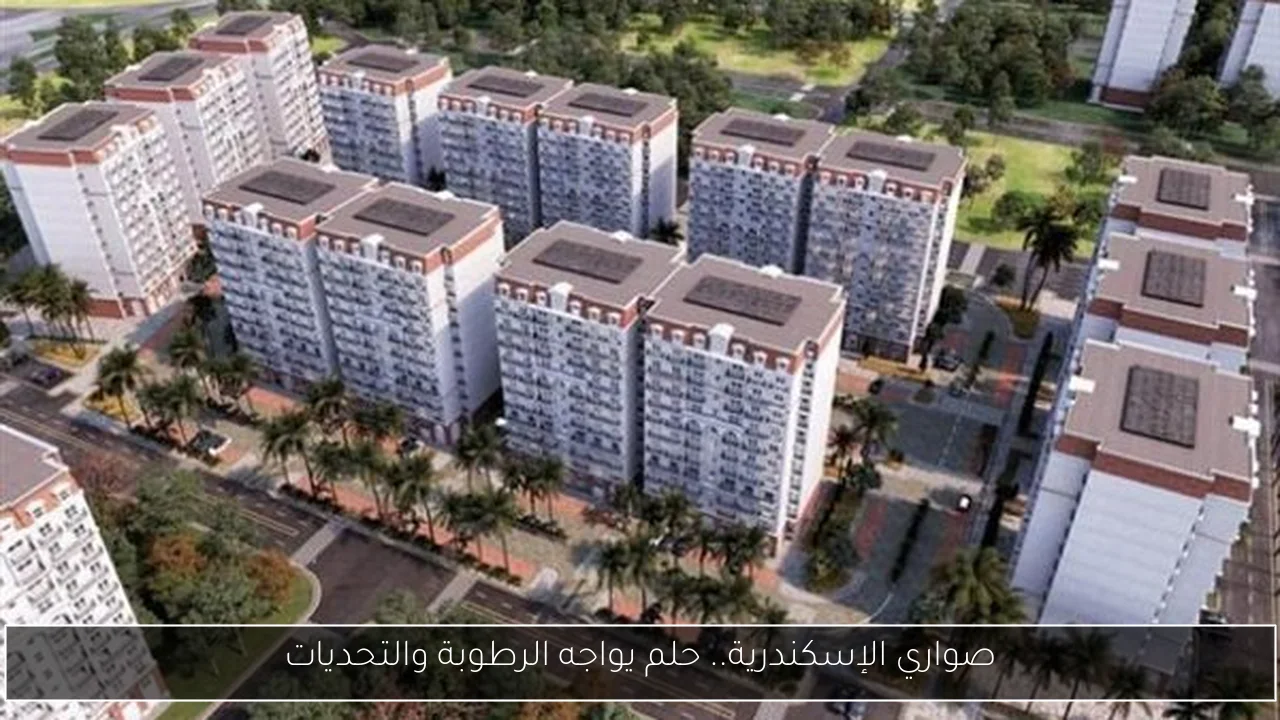 صواري الإسكندرية.. حلم يواجه الرطوبة والتحديات