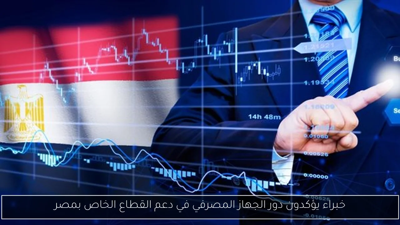 خبراء يؤكدون دور الجهاز المصرفي في دعم القطاع الخاص بمصر