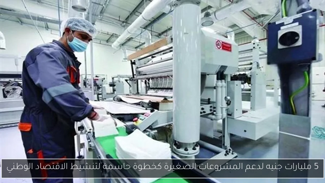 5 مليارات جنيه لدعم المشروعات الصغيرة كخطوة حاسمة لتنشيط الاقتصاد الوطني
