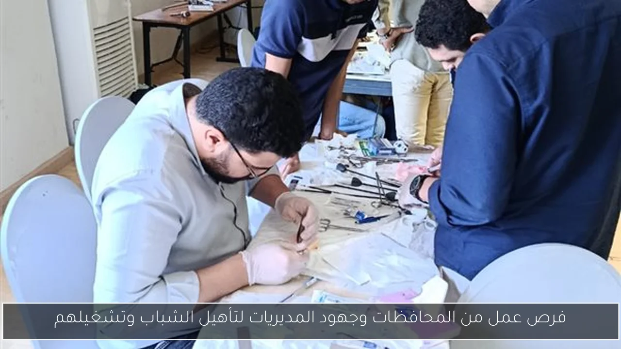 فرص عمل من المحافظات وجهود المديريات لتأهيل الشباب وتشغيلهم