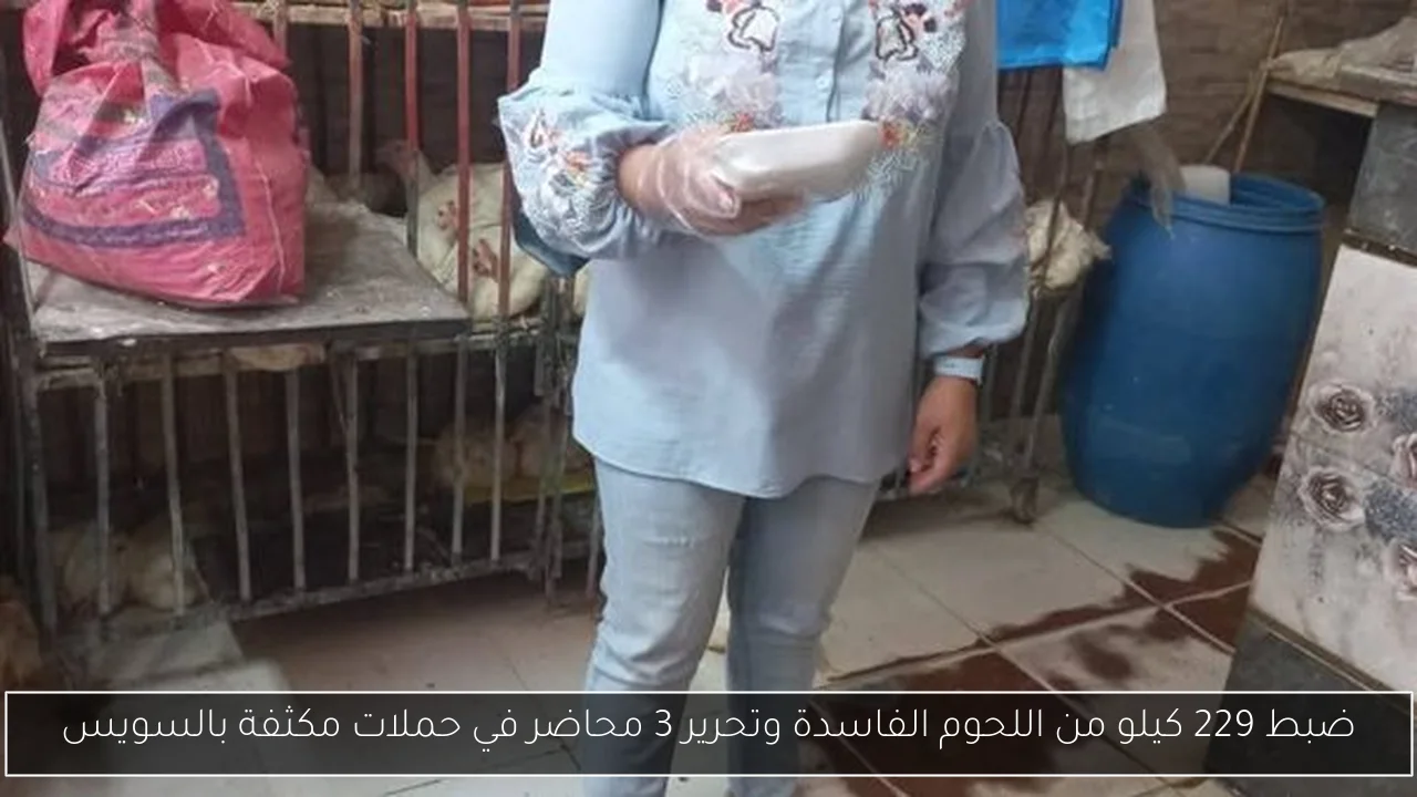 ضبط 229 كيلو من اللحوم الفاسدة وتحرير 3 محاضر في حملات مكثفة بالسويس