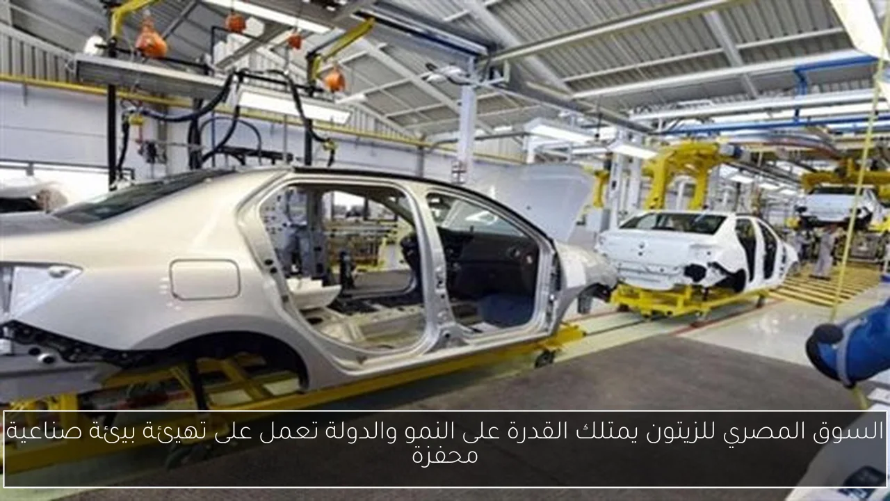 السوق المصري للزيتون يمتلك القدرة على النمو والدولة تعمل على تهيئة بيئة صناعية محفزة