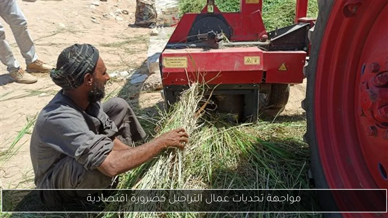 مواجهة تحديات عمال التراحيل كضرورة اقتصادية