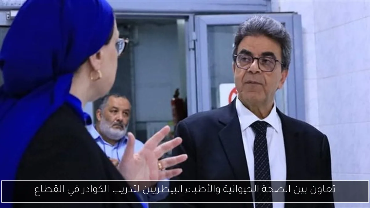 تعاون بين الصحة الحيوانية والأطباء البيطريين لتدريب الكوادر في القطاع