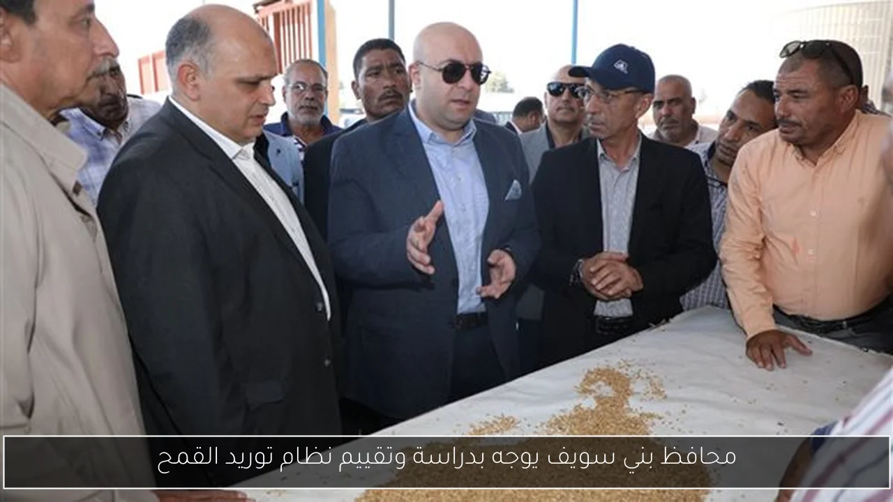 محافظ بني سويف يوجه بدراسة وتقييم نظام توريد القمح