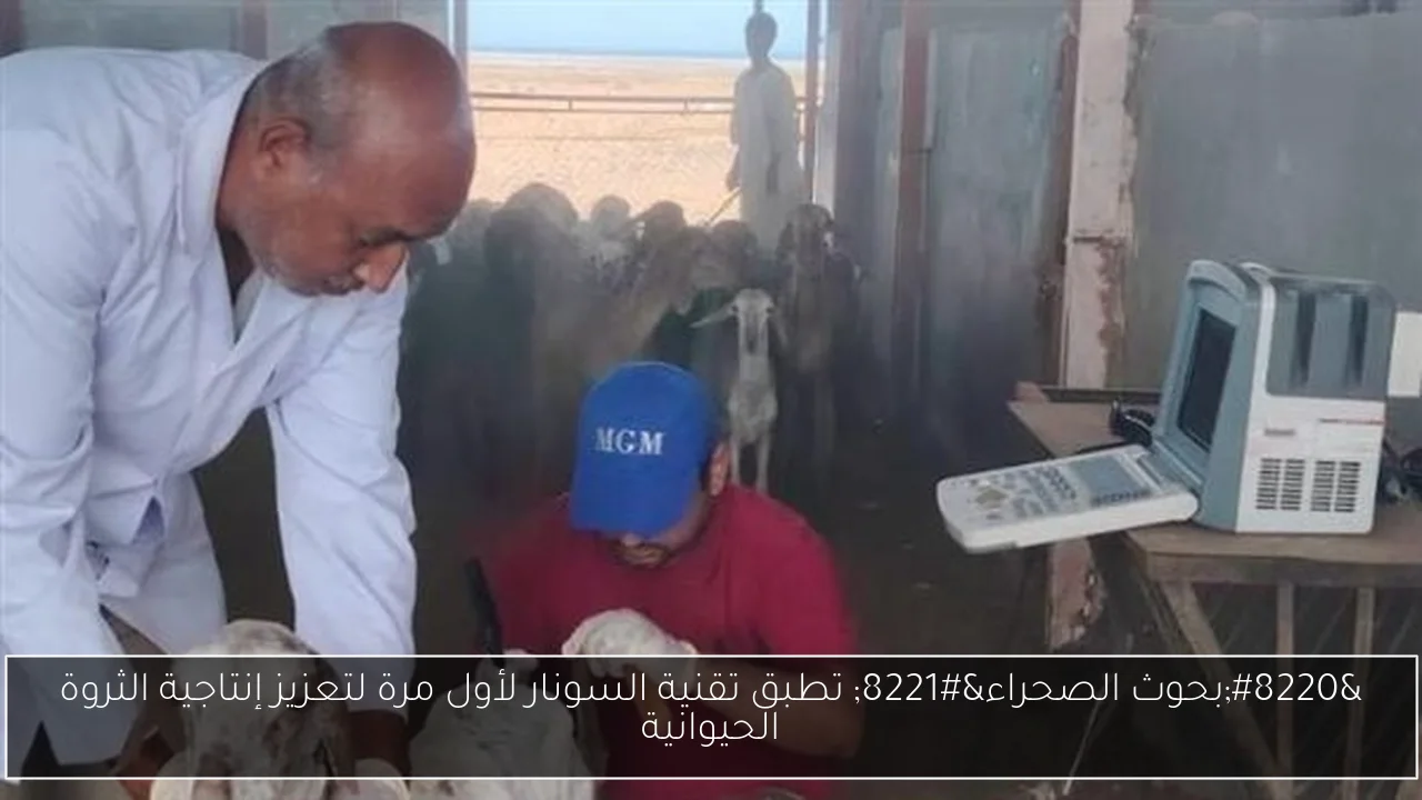 “بحوث الصحراء” تطبق تقنية السونار لأول مرة لتعزيز إنتاجية الثروة الحيوانية