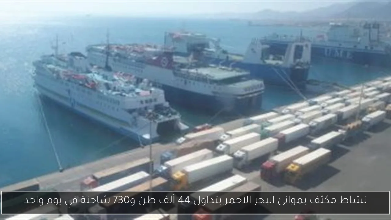 نشاط مكثف بموانئ البحر الأحمر بتداول 44 ألف طن و730 شاحنة في يوم واحد