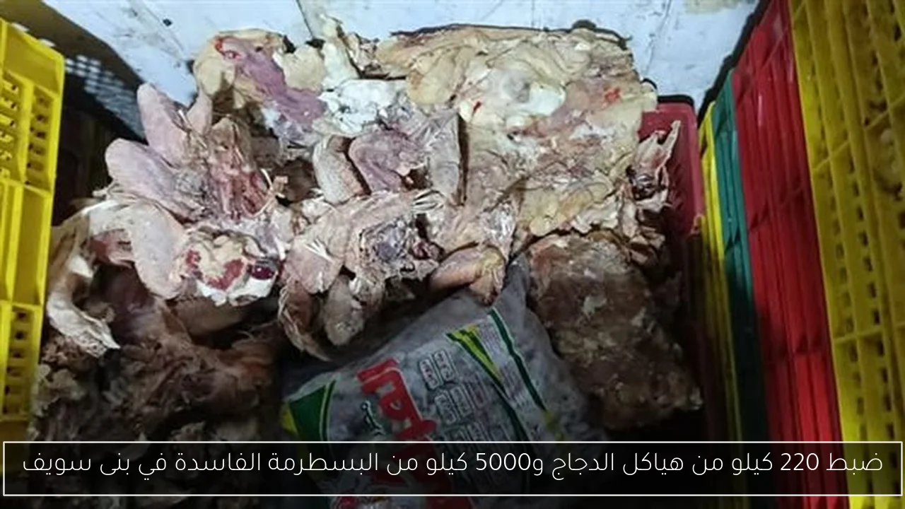 ضبط 220 كيلو من هياكل الدجاج و5000 كيلو من البسطرمة الفاسدة في بنى سويف