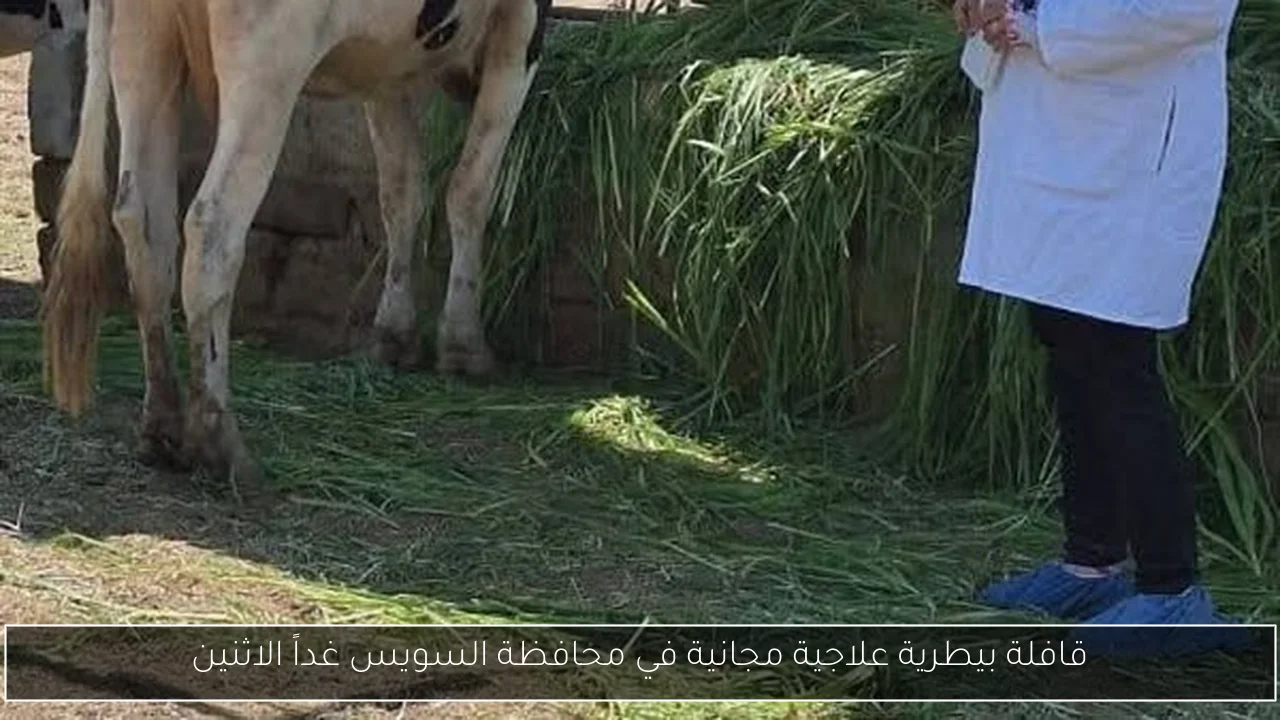 قافلة بيطرية علاجية مجانية في محافظة السويس غداً الاثنين
