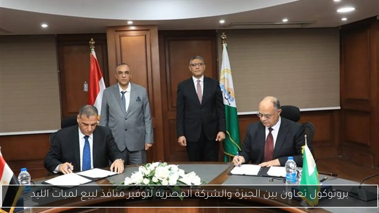 بروتوكول تعاون بين الجيزة والشركة المصرية لتوفير منافذ لبيع لمبات الليد