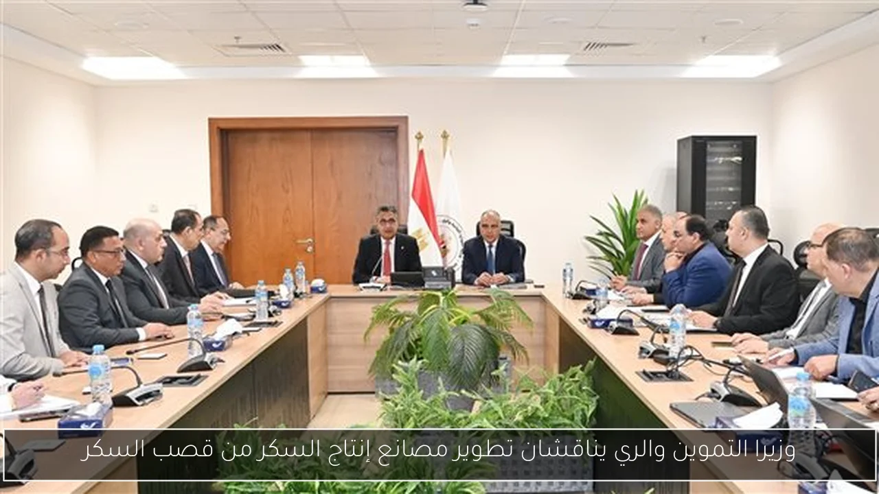 وزيرا التموين والري يناقشان تطوير مصانع إنتاج السكر من قصب السكر