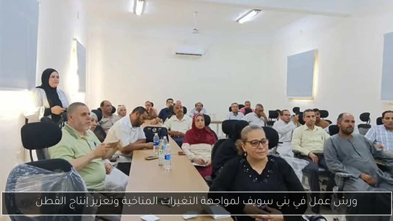 ورش عمل في بني سويف لمواجهة التغيرات المناخية وتعزيز إنتاج القطن