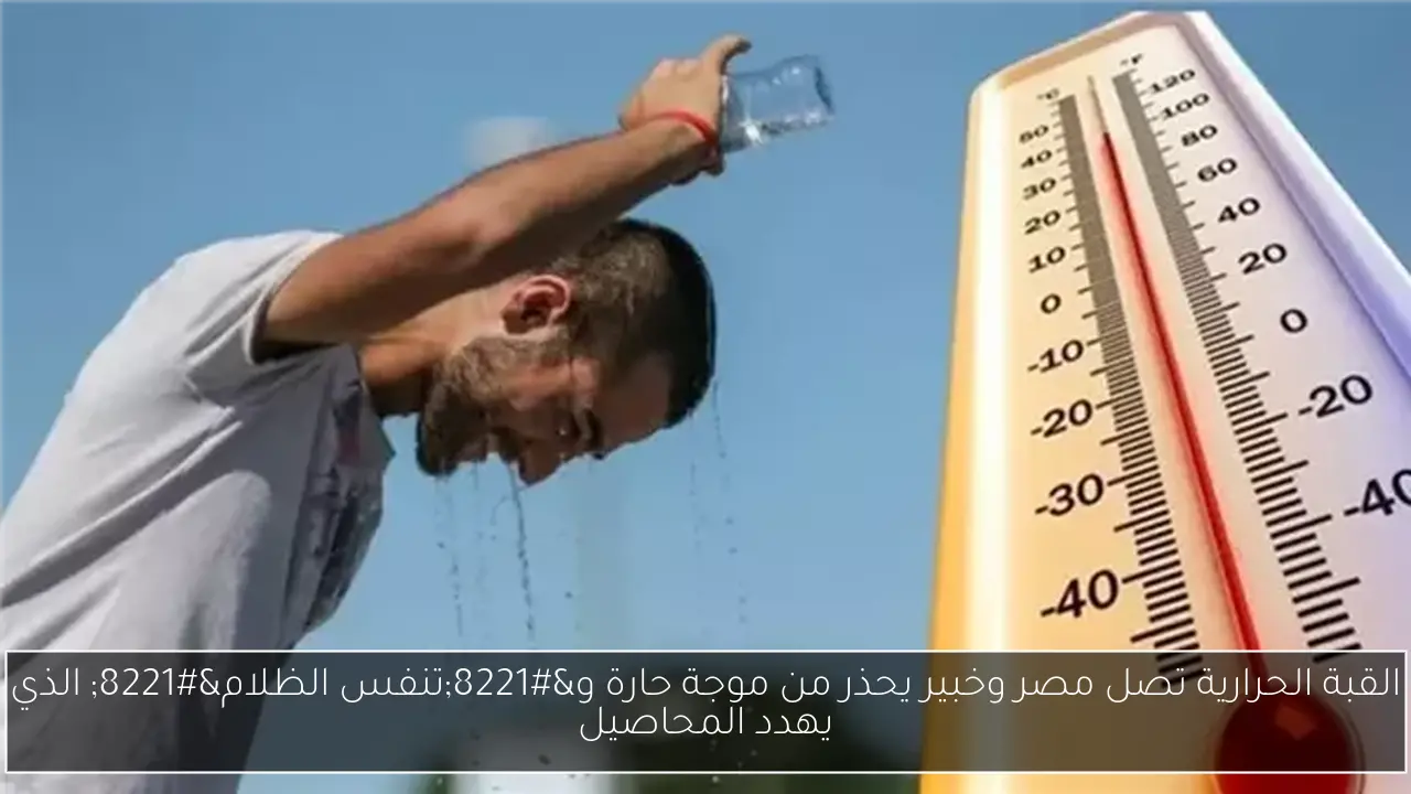 القبة الحرارية تصل مصر وخبير يحذر من موجة حارة و”تنفس الظلام” الذي يهدد المحاصيل