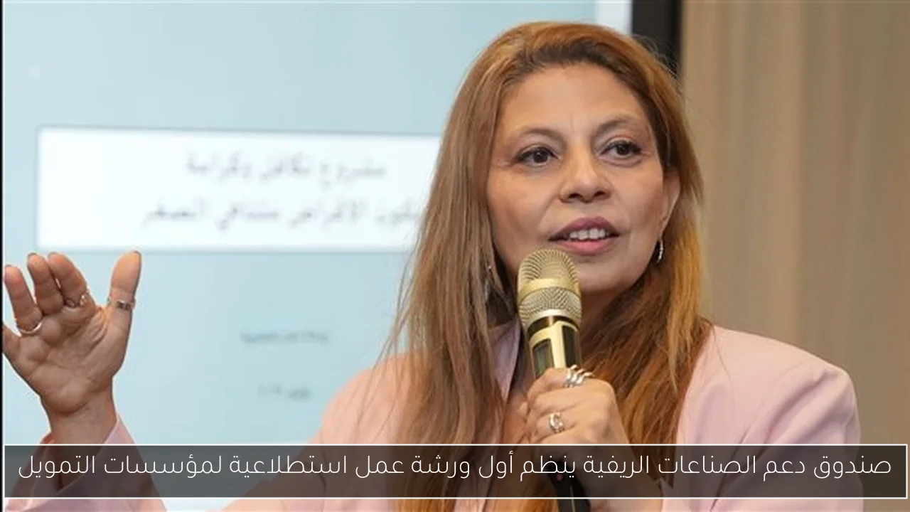 صندوق دعم الصناعات الريفية ينظم أول ورشة عمل استطلاعية لمؤسسات التمويل