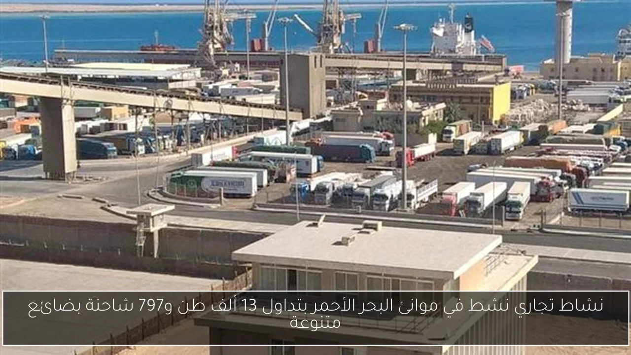 نشاط تجاري نشط في موانئ البحر الأحمر بتداول 13 ألف طن و797 شاحنة بضائع متنوعة