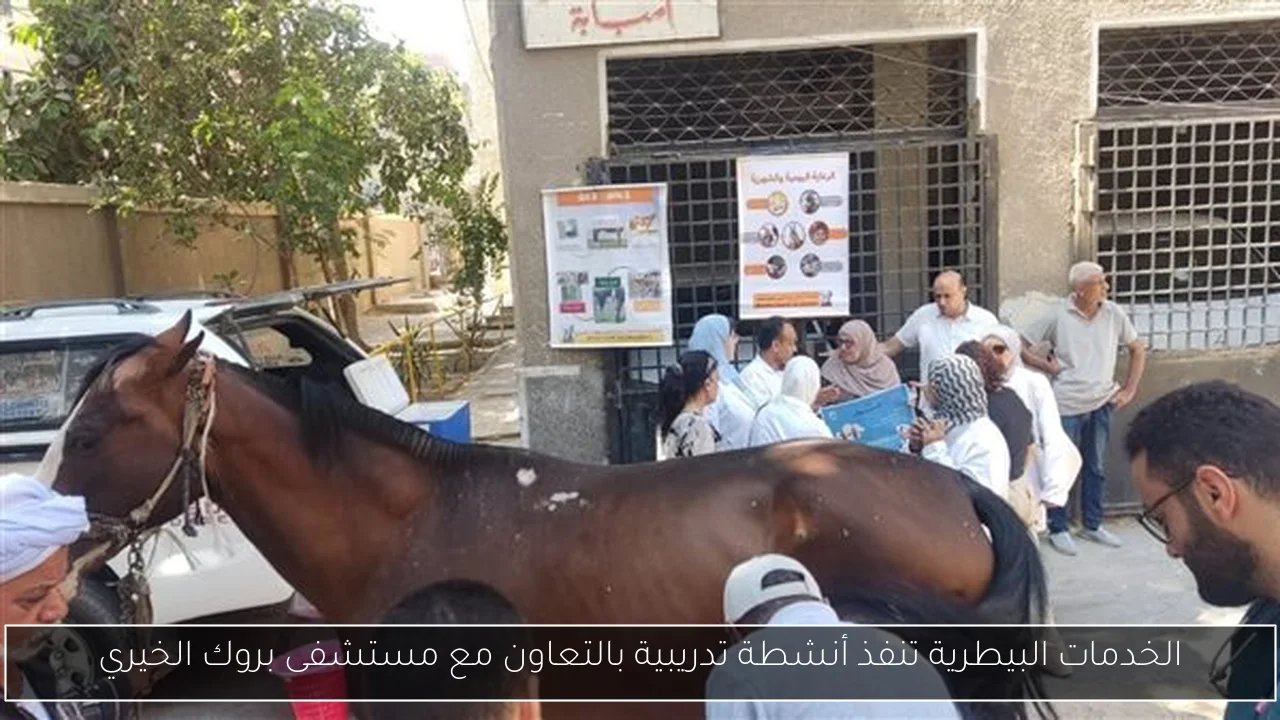 الخدمات البيطرية تنفذ أنشطة تدريبية بالتعاون مع مستشفى بروك الخيري