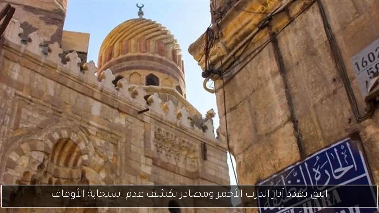 البق يهدد آثار الدرب الأحمر ومصادر تكشف عدم استجابة الأوقاف