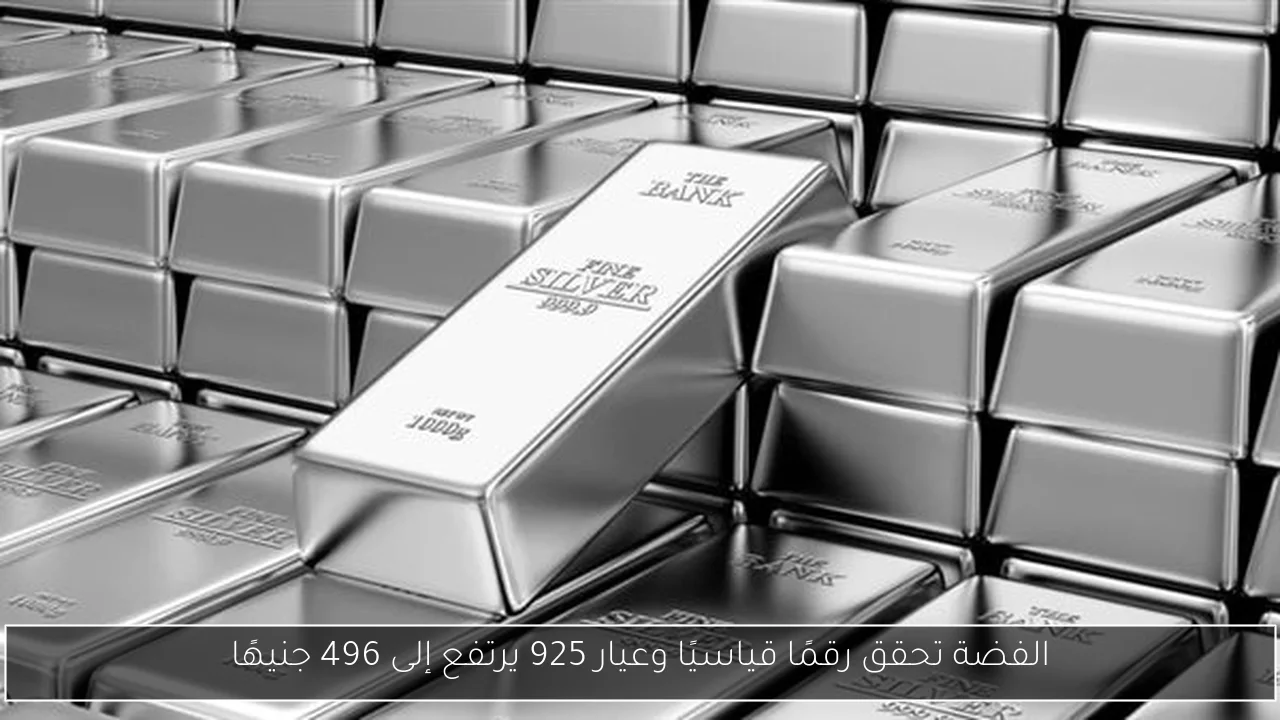 الفضة تحقق رقمًا قياسيًا وعيار 925 يرتفع إلى 496 جنيهًا
