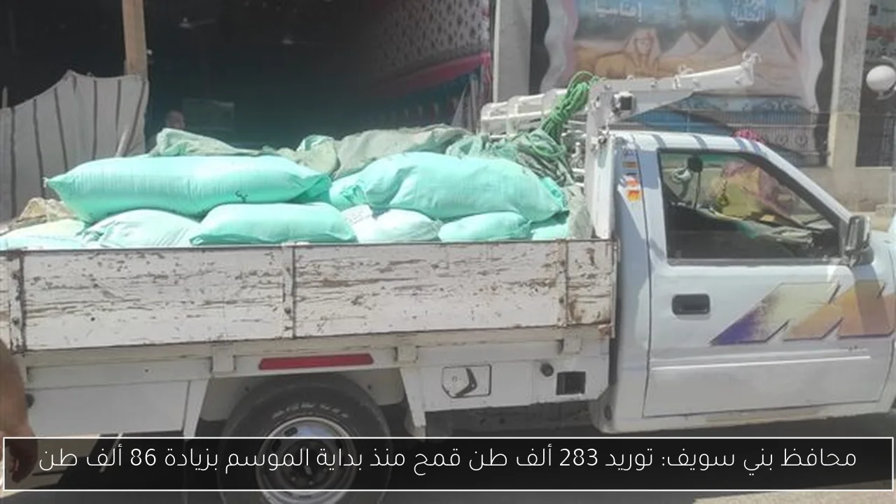 محافظ بني سويف: توريد 283 ألف طن قمح منذ بداية الموسم بزيادة 86 ألف طن