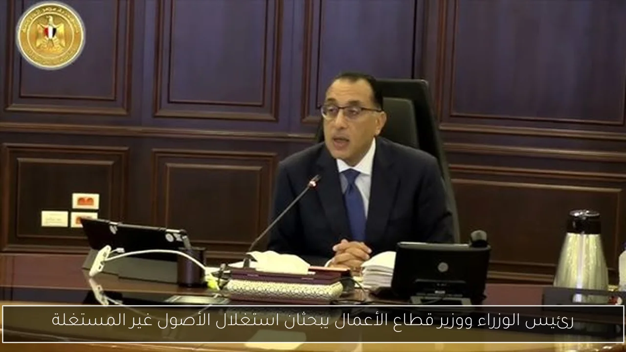 رئيس الوزراء ووزير قطاع الأعمال يبحثان استغلال الأصول غير المستغلة