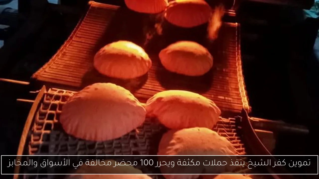 تموين كفر الشيخ ينفذ حملات مكثفة ويحرر 100 محضر مخالفة في الأسواق والمخابز