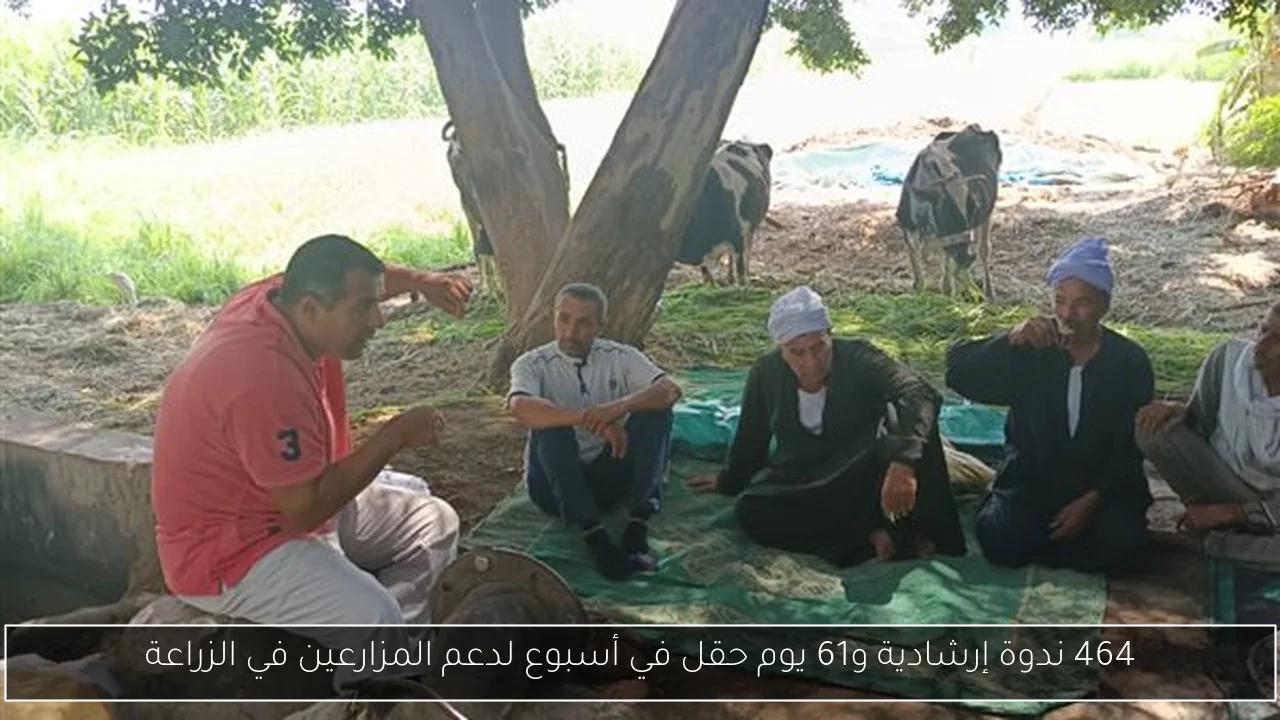 464 ندوة إرشادية و61 يوم حقل في أسبوع لدعم المزارعين في الزراعة